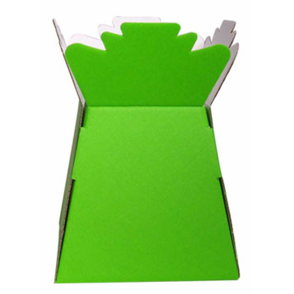 Transporter Vase Lime Green Florists Supplies